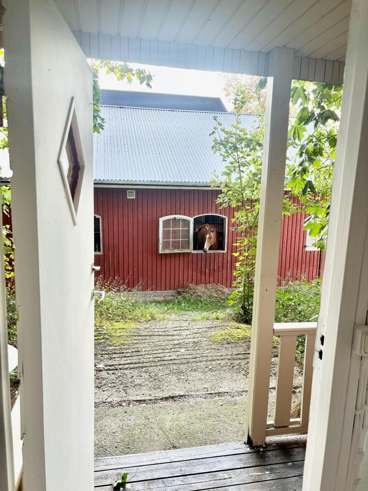 Arphus Lodge เอสคิสทูนา ภายนอก รูปภาพ